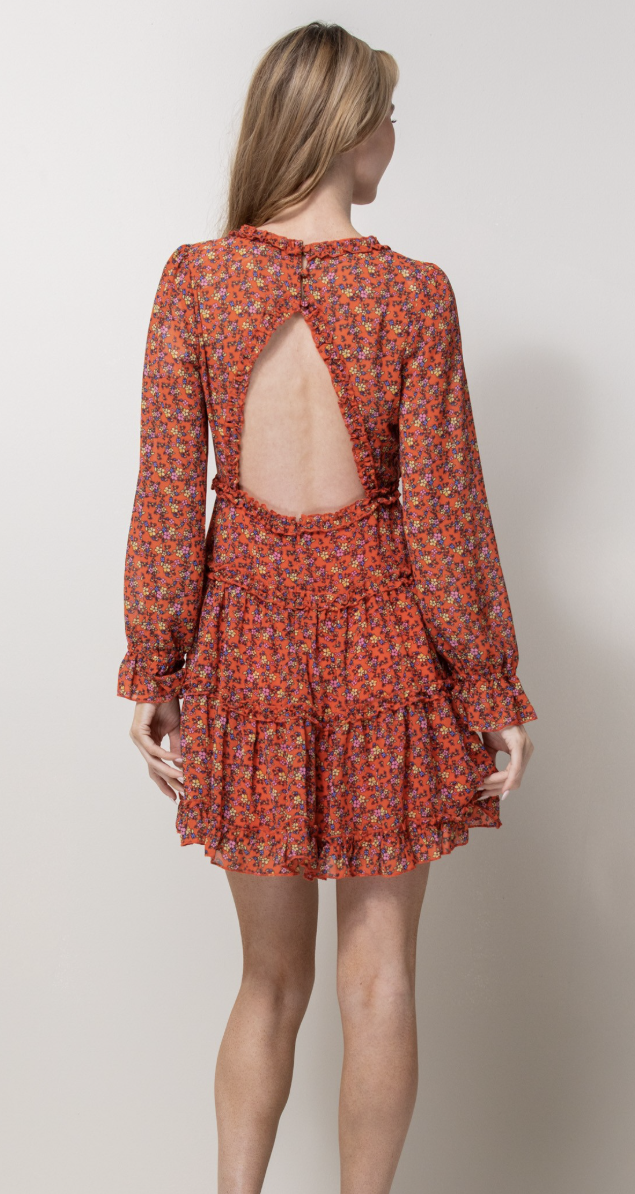 Open Back ruffle mini dress
